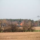 Sonniger Nachmittag auf dem Feld