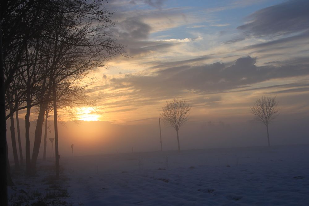 sonniger Nebel by black-sue 