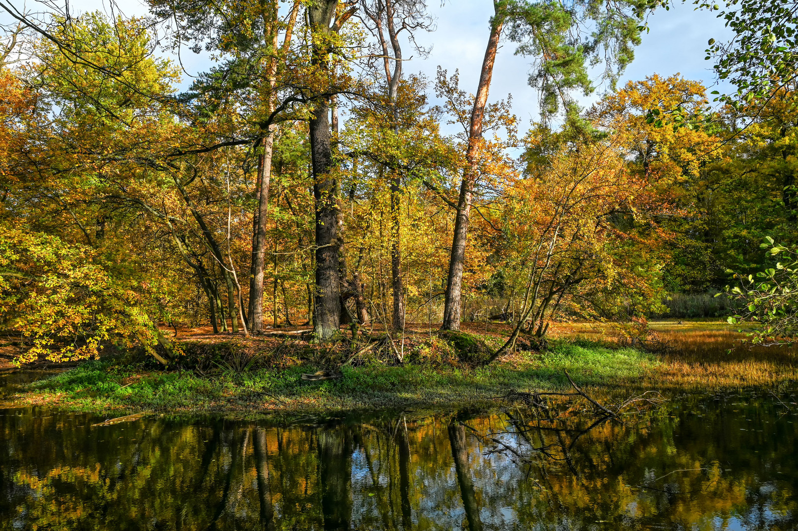 Sonniger November....