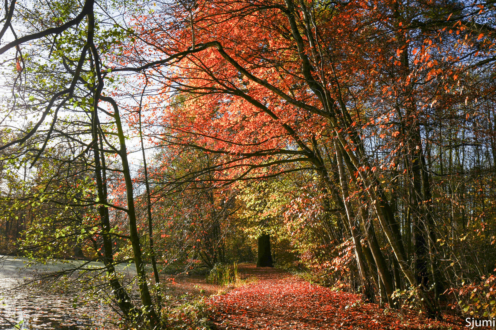 Sonniger November