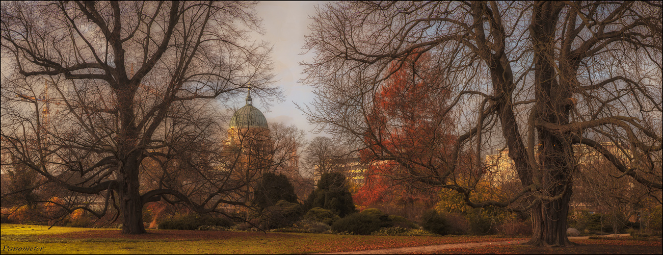 sonniger November in Potsdam ...