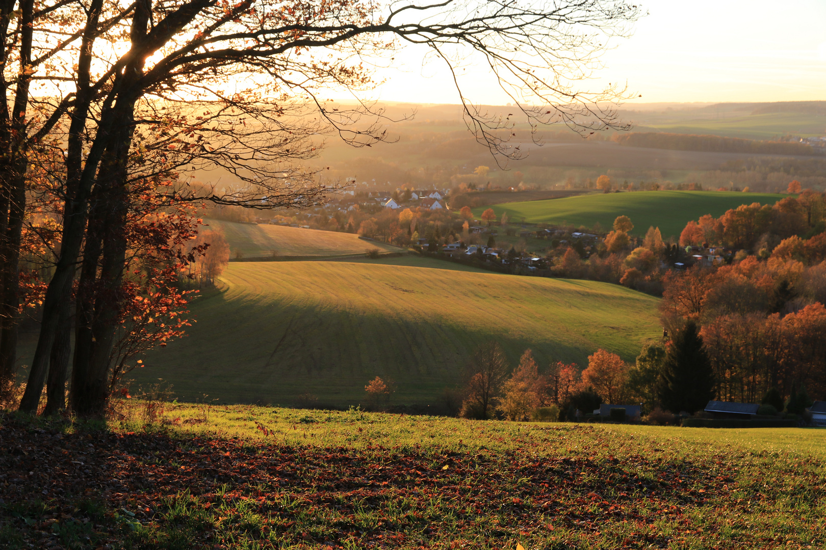 sonniger Novemberabend