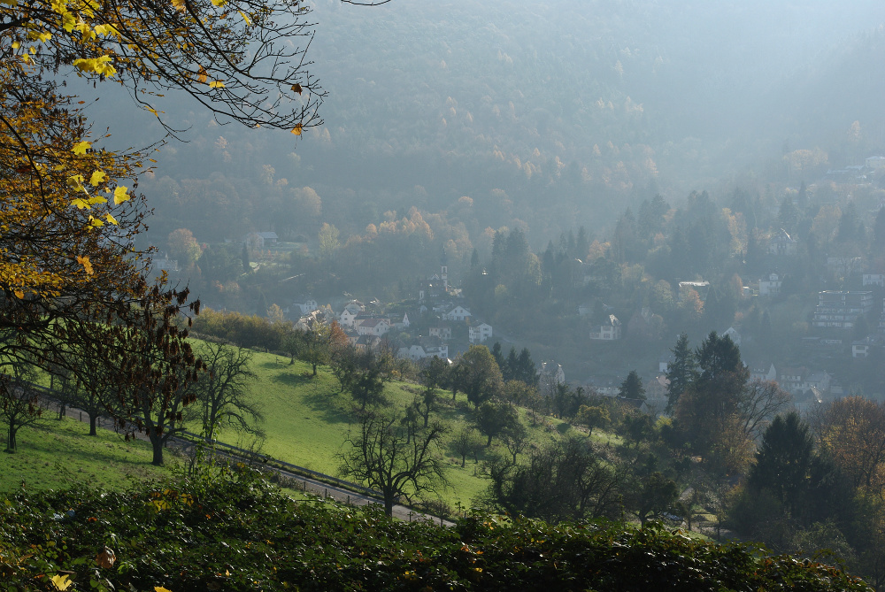 Sonniger Novembertag