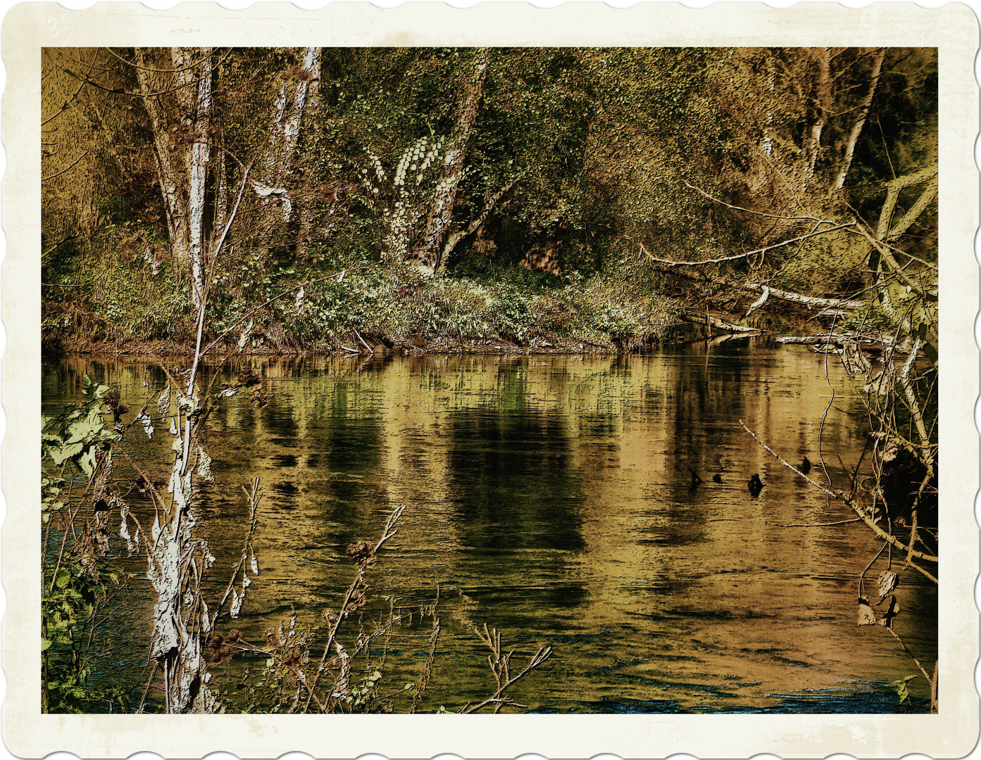 Sonniger Novembertag an der Rednitz