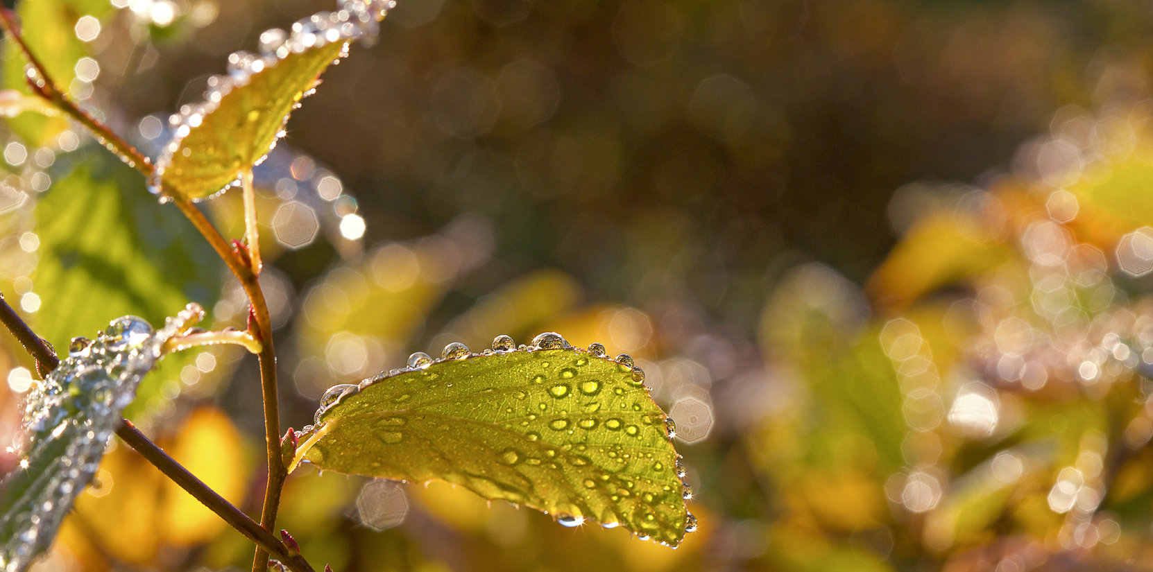 Sonniger Oktober