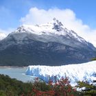 Sonniger Perito Moreno