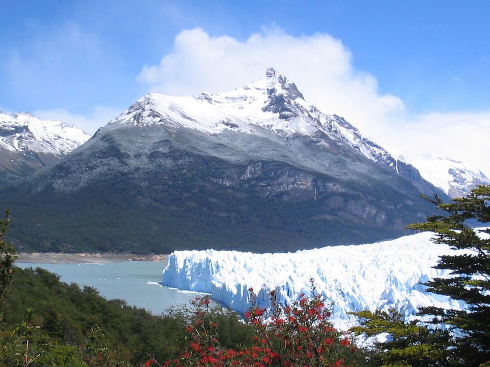 Sonniger Perito Moreno