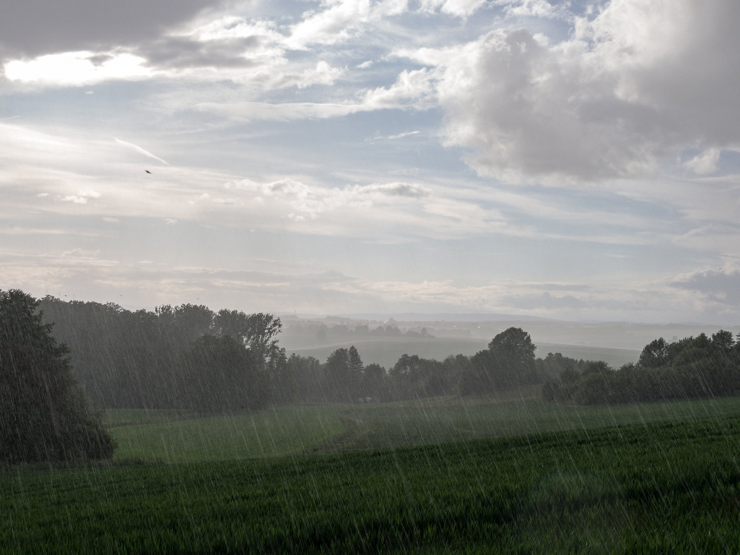 Sonniger Regentag