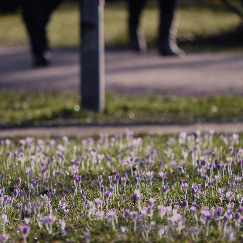 Sonniger Sonntag