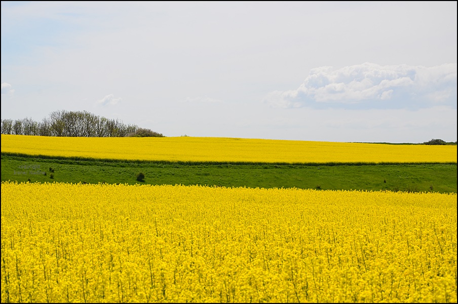 Sonniger Sonntag...