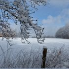 "Sonniger Sonntag in der Nordeifel"