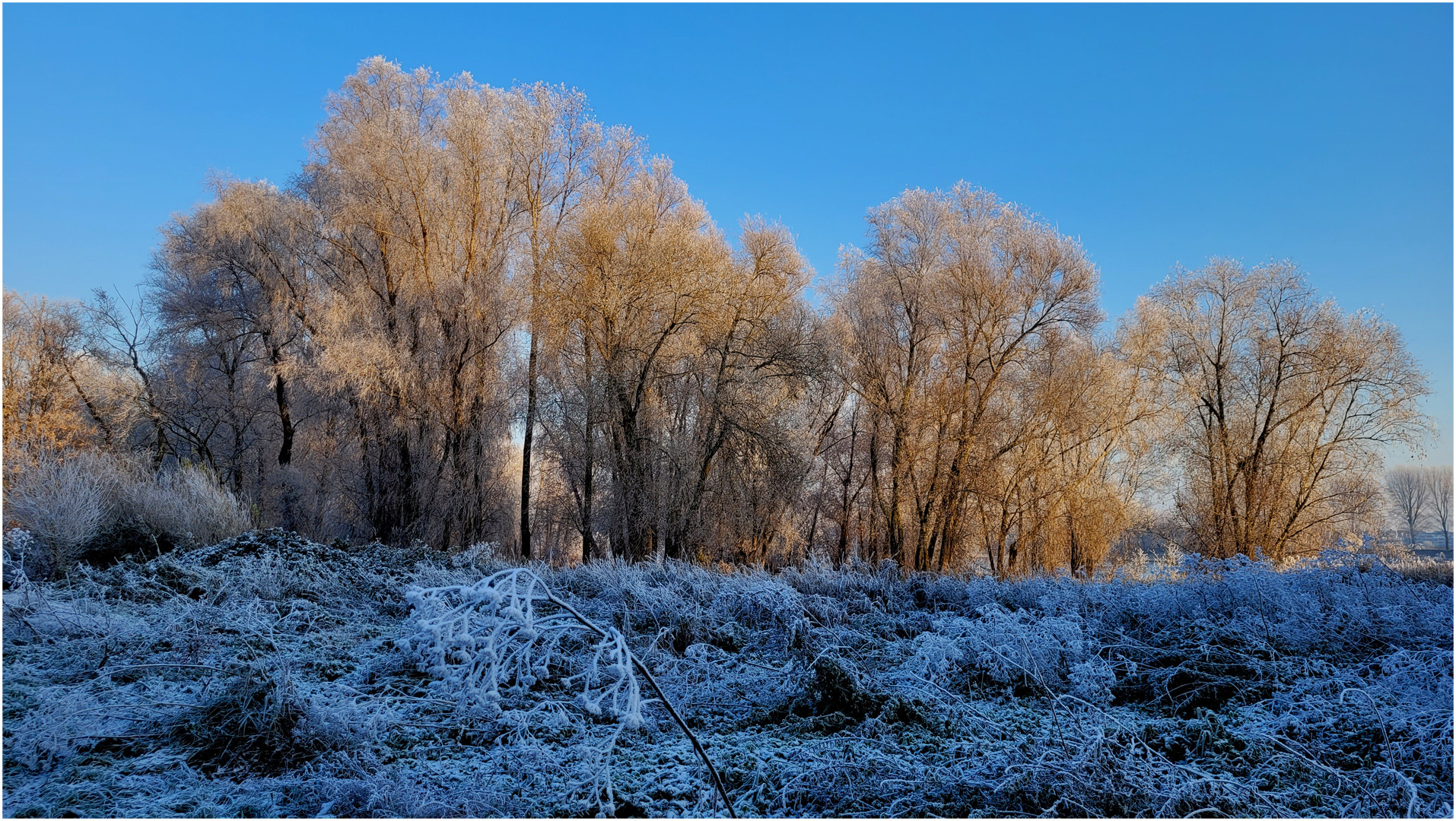 Sonniger Sonntag und Blauer Montag ...