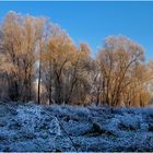 Sonniger Sonntag und Blauer Montag ...