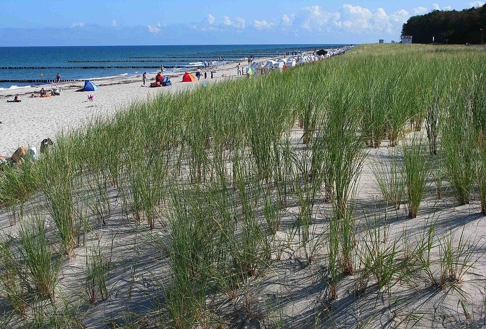 Sonniger Spätsommertag in Zingst