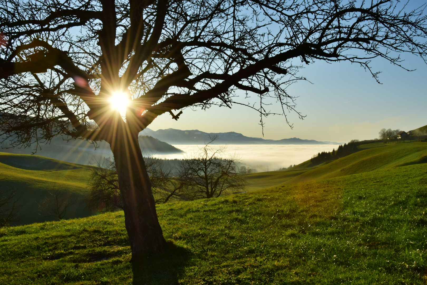 Sonniger Start ins neue Jahr