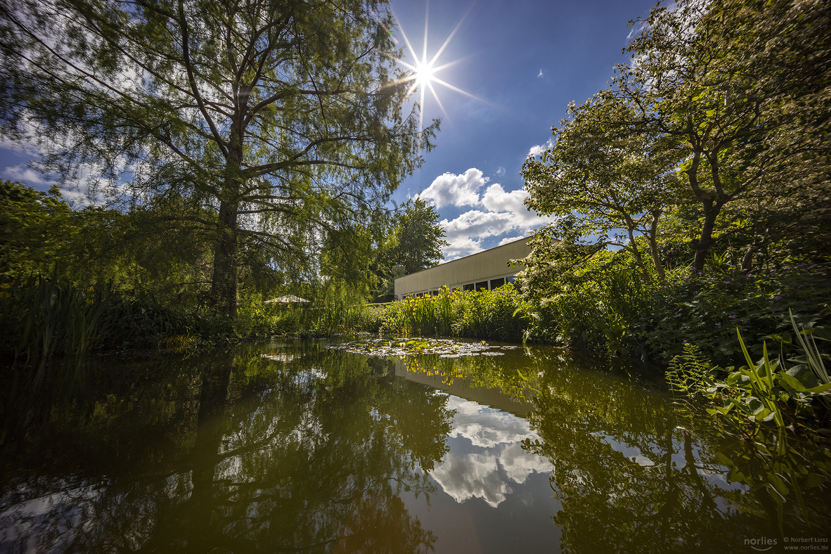 Sonniger Tag