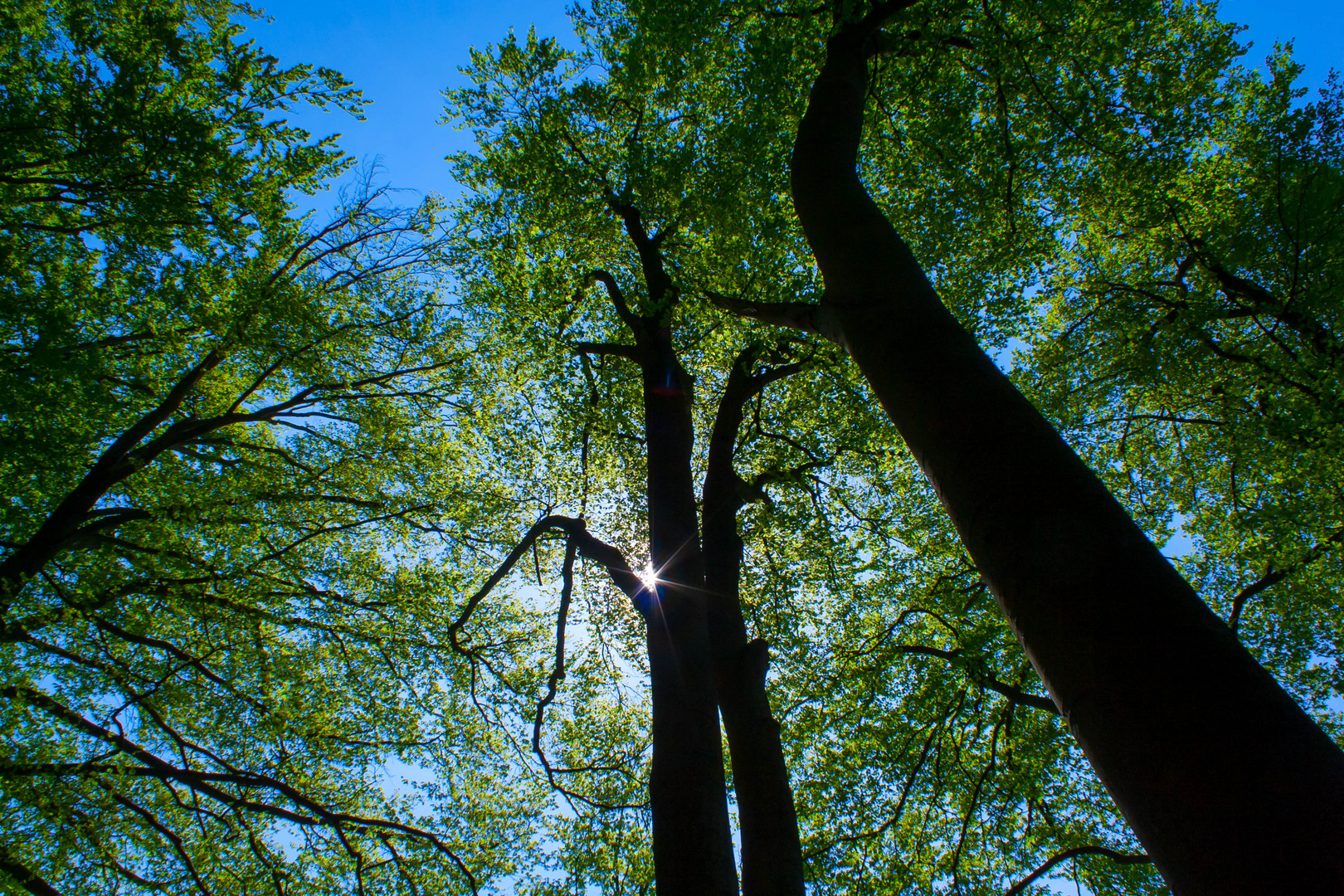 Sonniger Tag