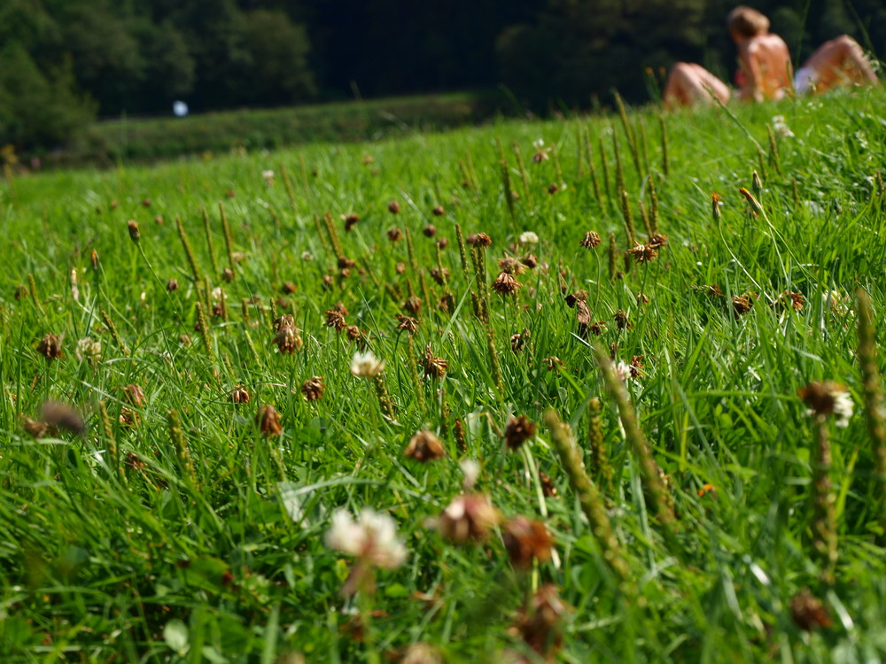 Sonniger Tag am Bigge-Stausee