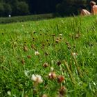 Sonniger Tag am Bigge-Stausee