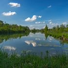 Sonniger Tag am See