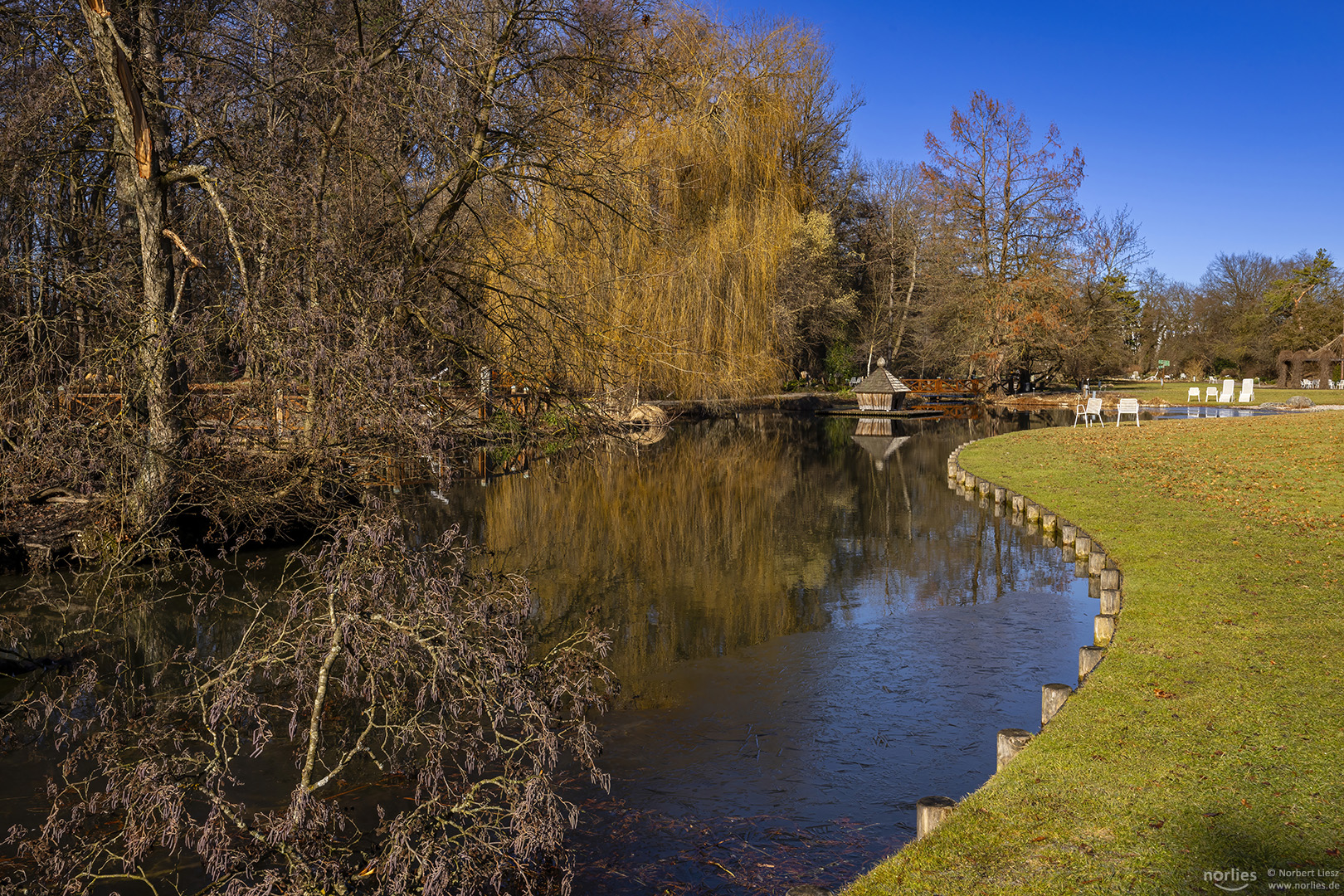 Sonniger Tag am Teich