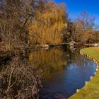 Sonniger Tag am Teich