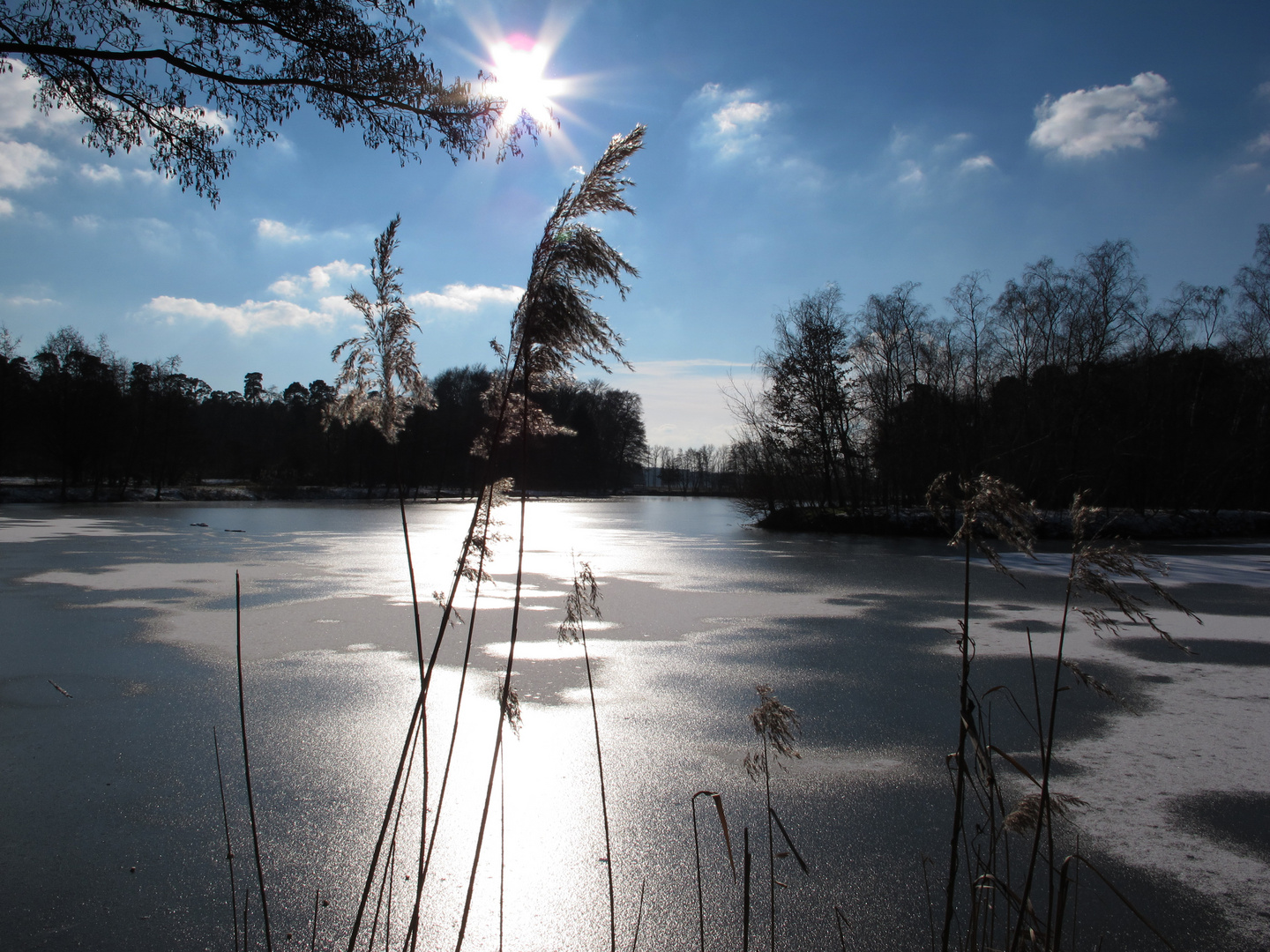 Sonniger Tag am Weiher