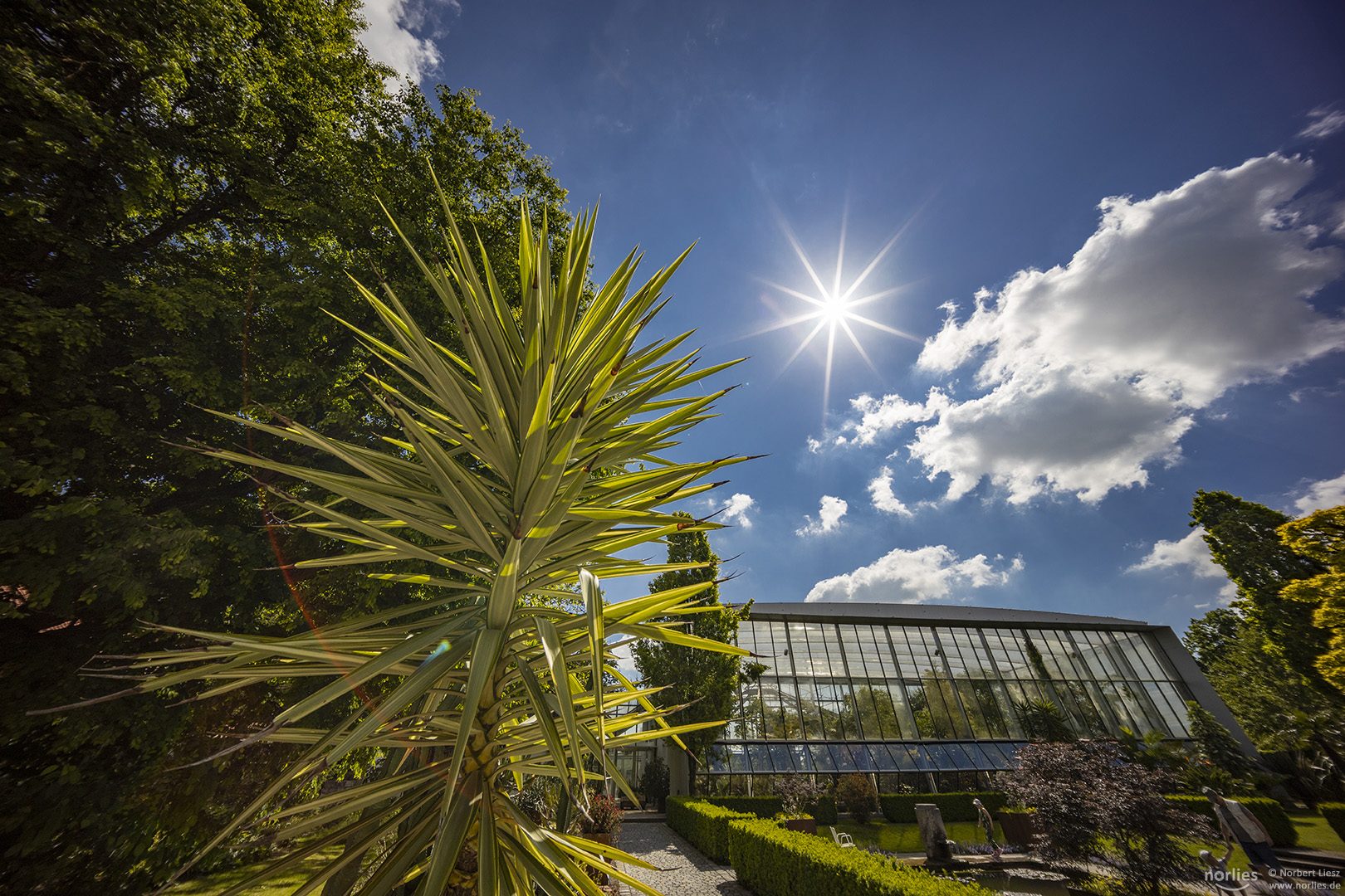 Sonniger Tag im Botanischen Garten