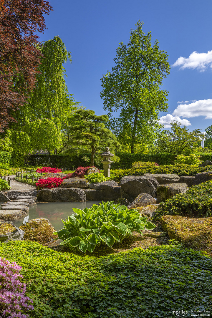 Sonniger Tag im Japangarten