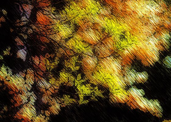 Sonniger Tag im November