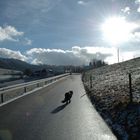 sonniger Tag im Schwarzwald