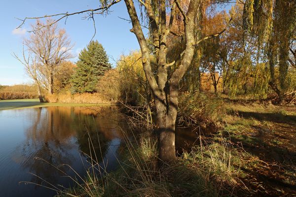 Sonniger Tag im Spätherbst