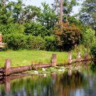 Sonniger Tag im Spreewald