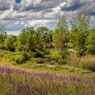 Sonniger Tag im Westbad Park