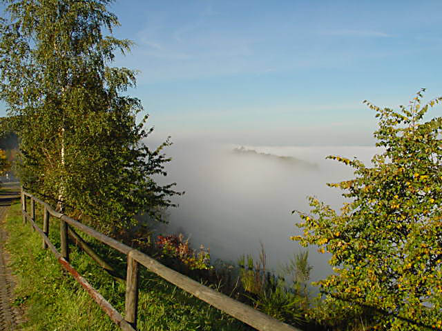 sonniger Vormittag von Elke Goldmann