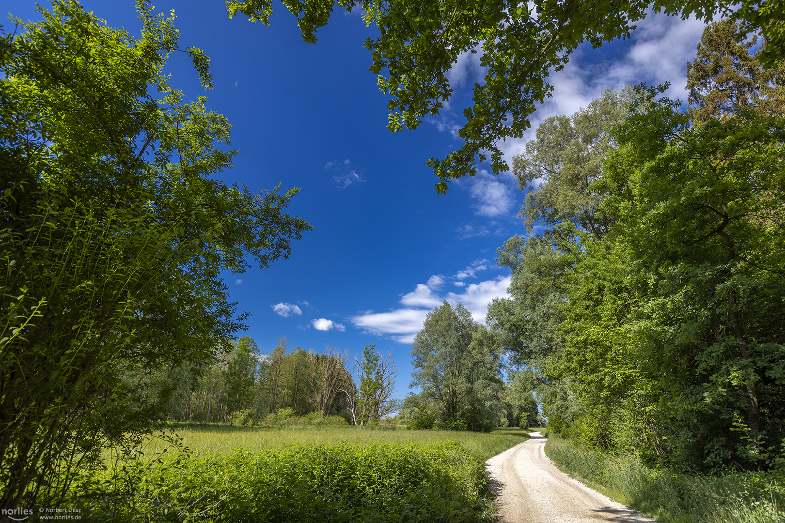 Sonniger Weg