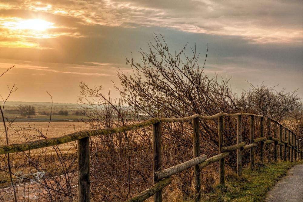 sonniger Weg