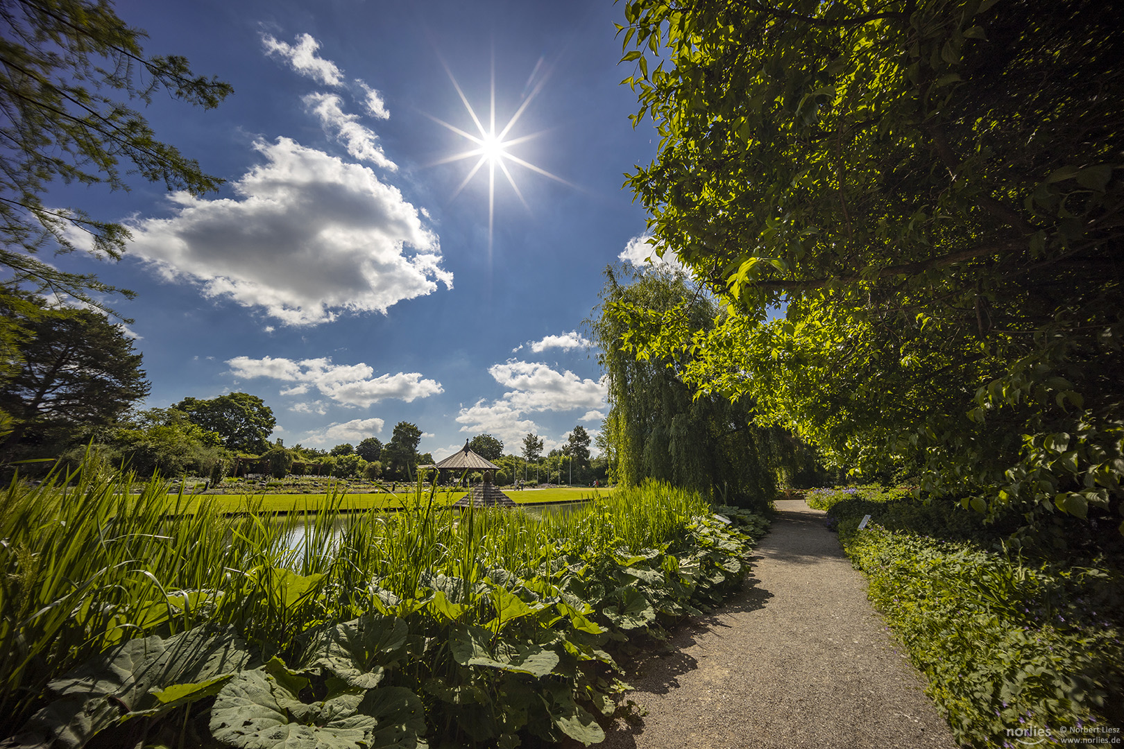 Sonniger Weg