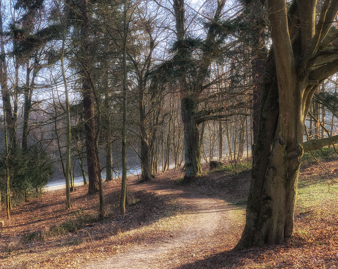 sonniger Weg im Winter