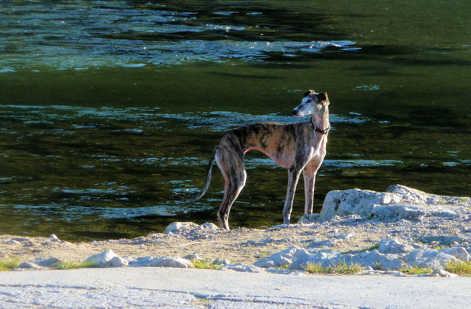 sonniger Weihnachtsspaziergang an der Isar