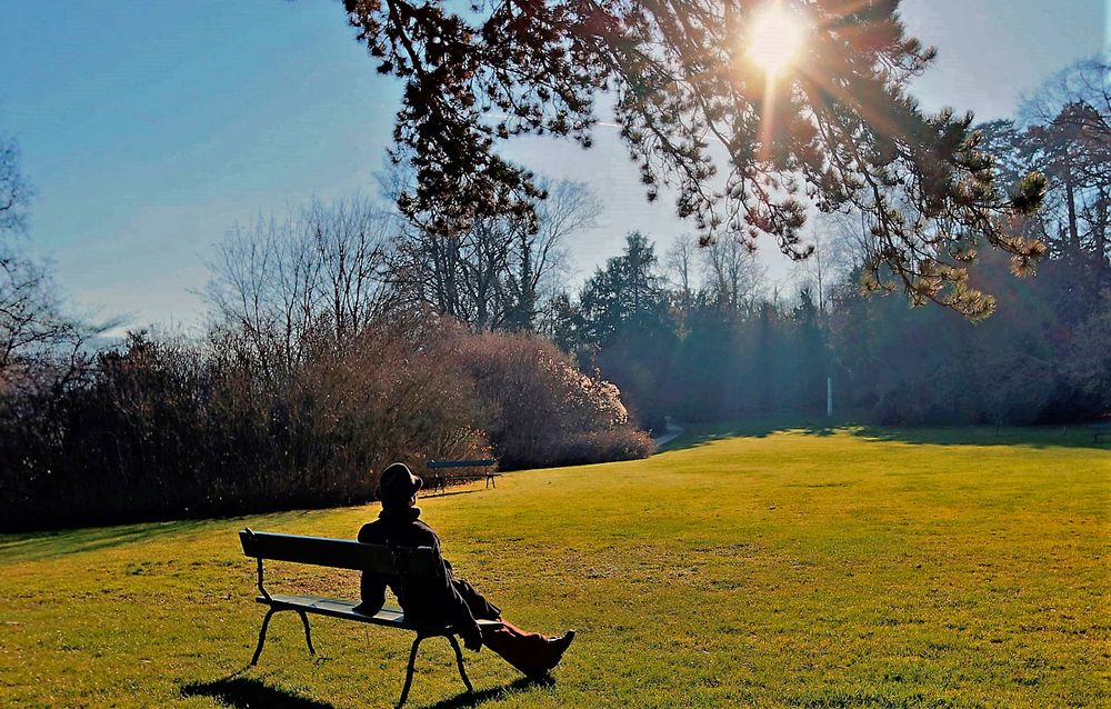Sonniger Weihnachtstag 3 Foto &amp; Bild | world, spezial, natur Bilder auf