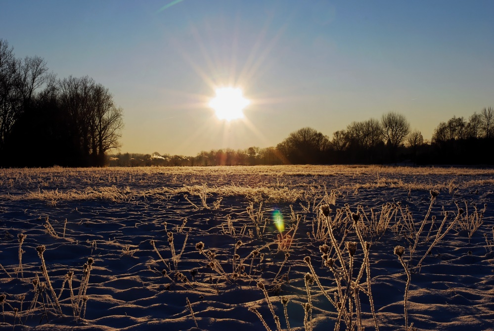 Sonniger Winter 2009 ...