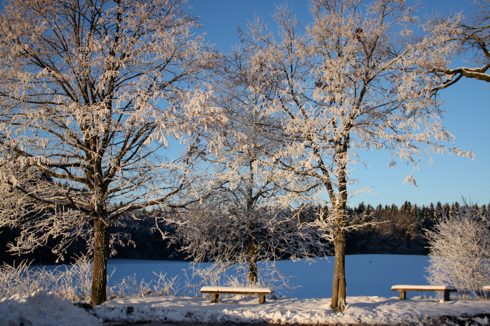 Sonniger Winter