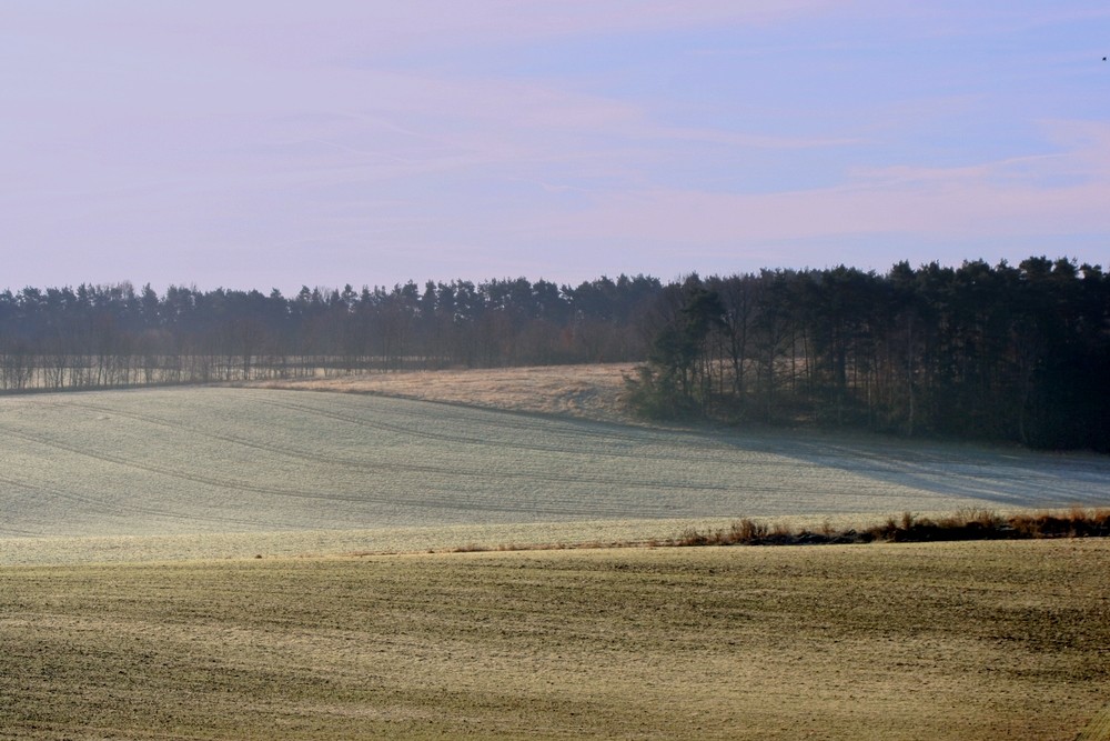 Sonniger Wintermorgen