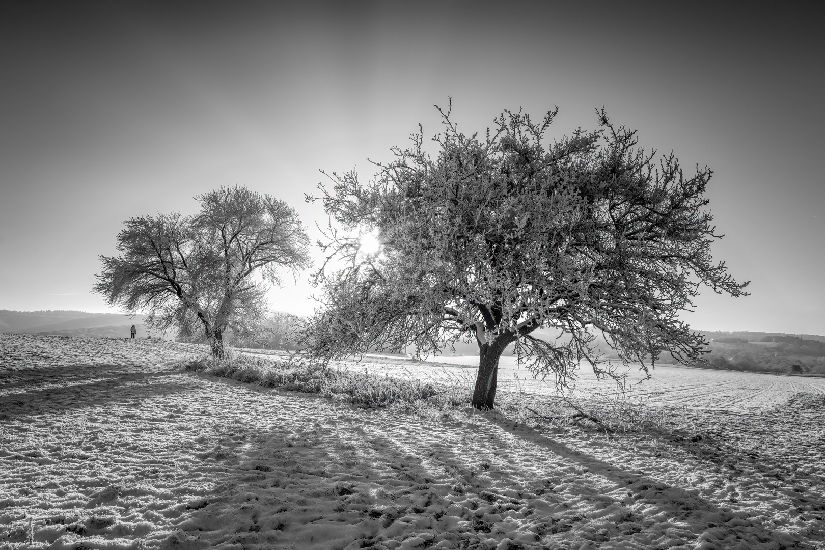 Sonniger Wintermorgen