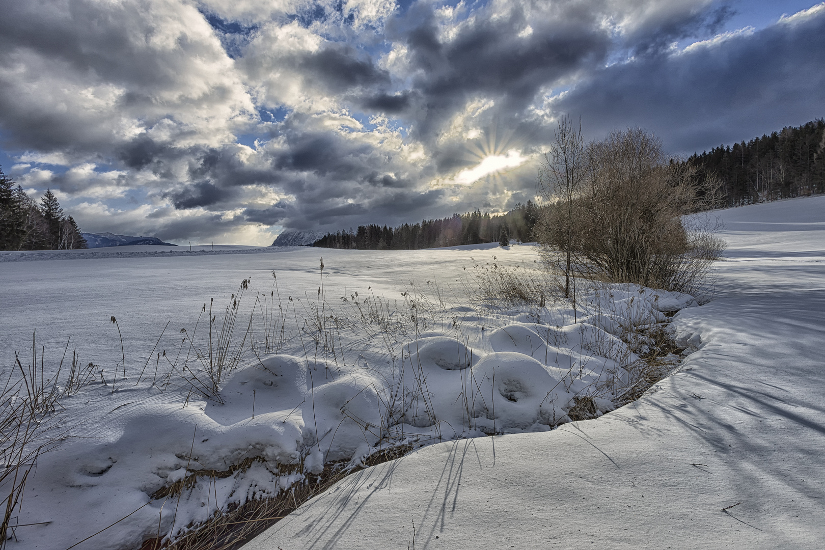 sonniger Wintermorgen