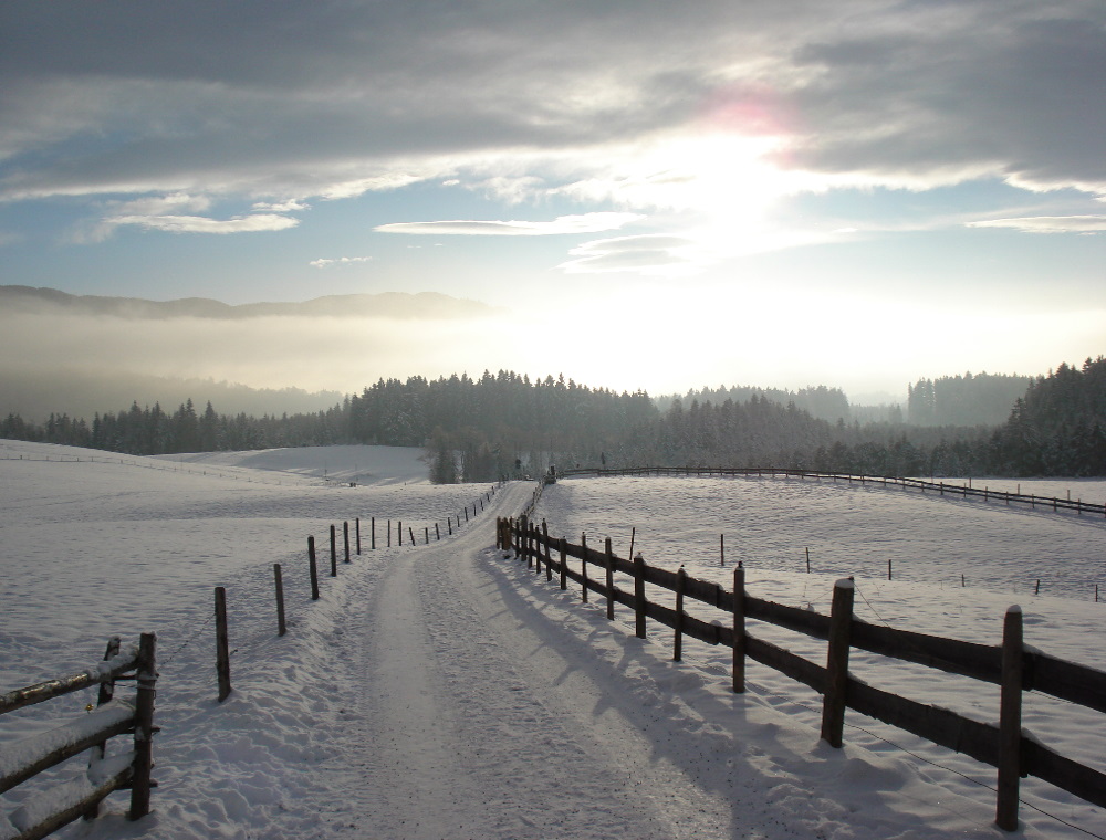 Sonniger Winternachmittag südlich der Wieskirche - 200812