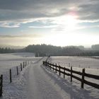 Sonniger Winternachmittag südlich der Wieskirche - 200812