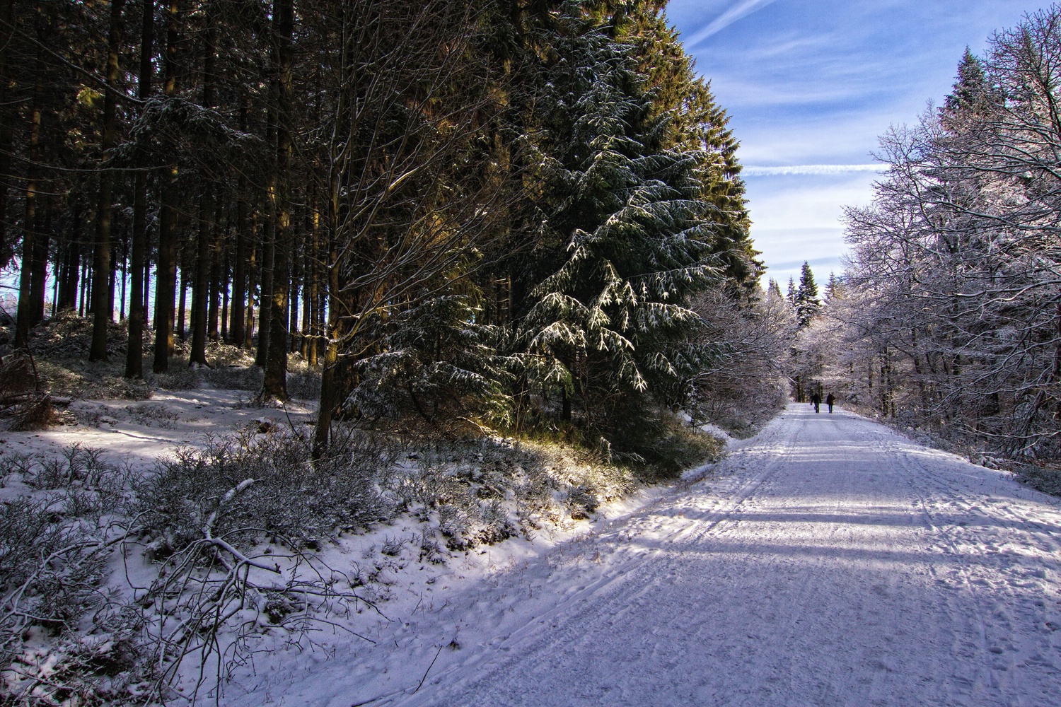 Sonniger Wintertag