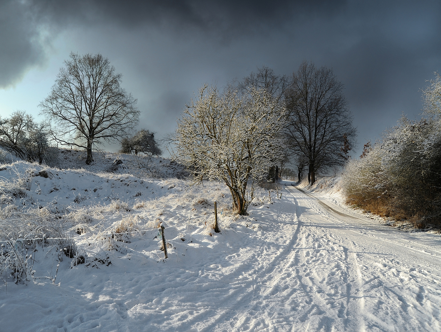 Sonniger Wintertag